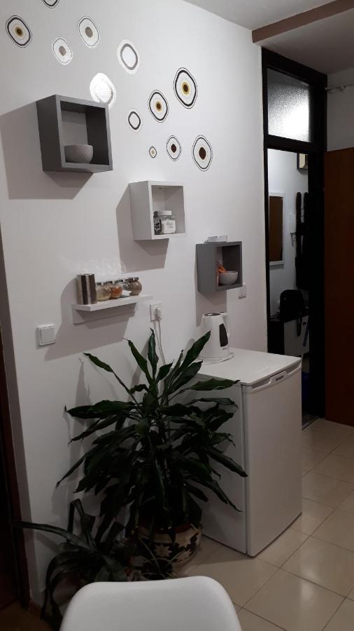 Apartman Panorama Vukovar Bagian luar foto